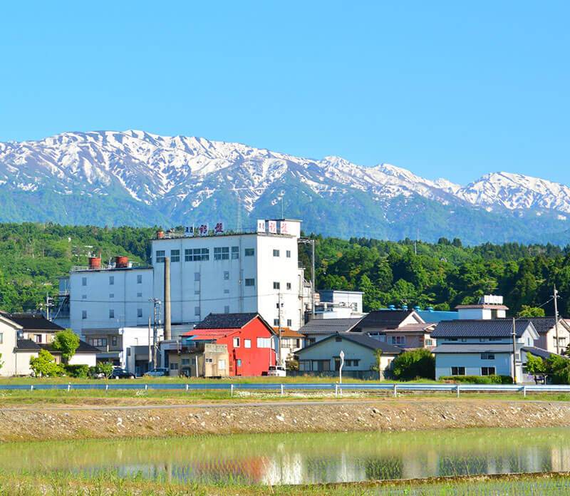 荻生 お店・企業