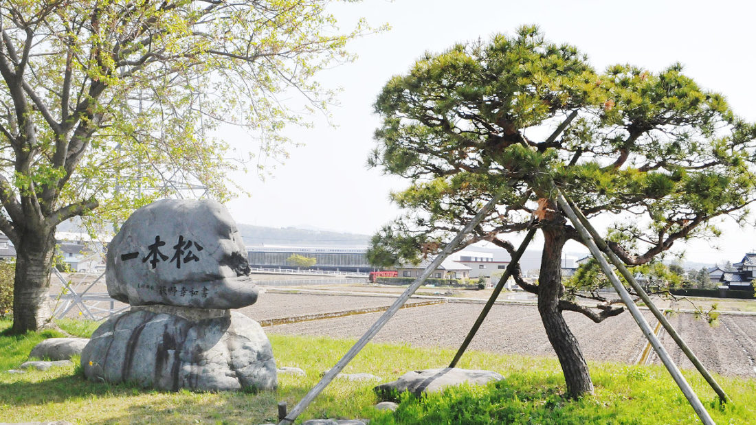 一本松の碑